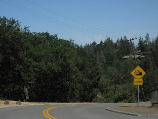 Bicycle caution sign, steep downhill grade. Page Mill Road, Palo Alto, CA
