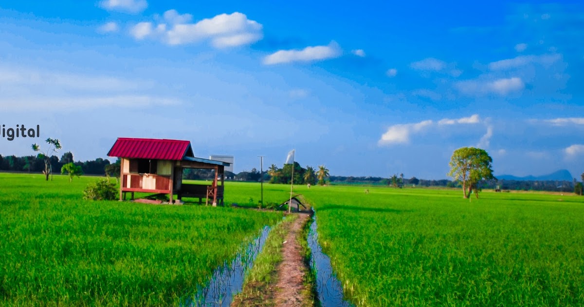 Eunos Art Photo new revision sawah padi dan cuti cuti malaysia