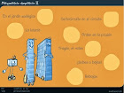 Matemáticas simpáticas-2