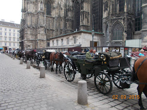 "Horse Carriage Rides": on Stephansplatz