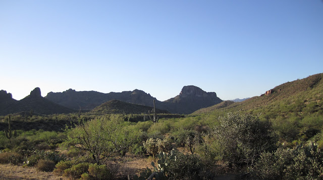 Scouting+Pics+in+Unit+24B+South+for+Desert+Bighorn+Sheep+with+Colburn+and+Scott+Outfitters+3.jpg