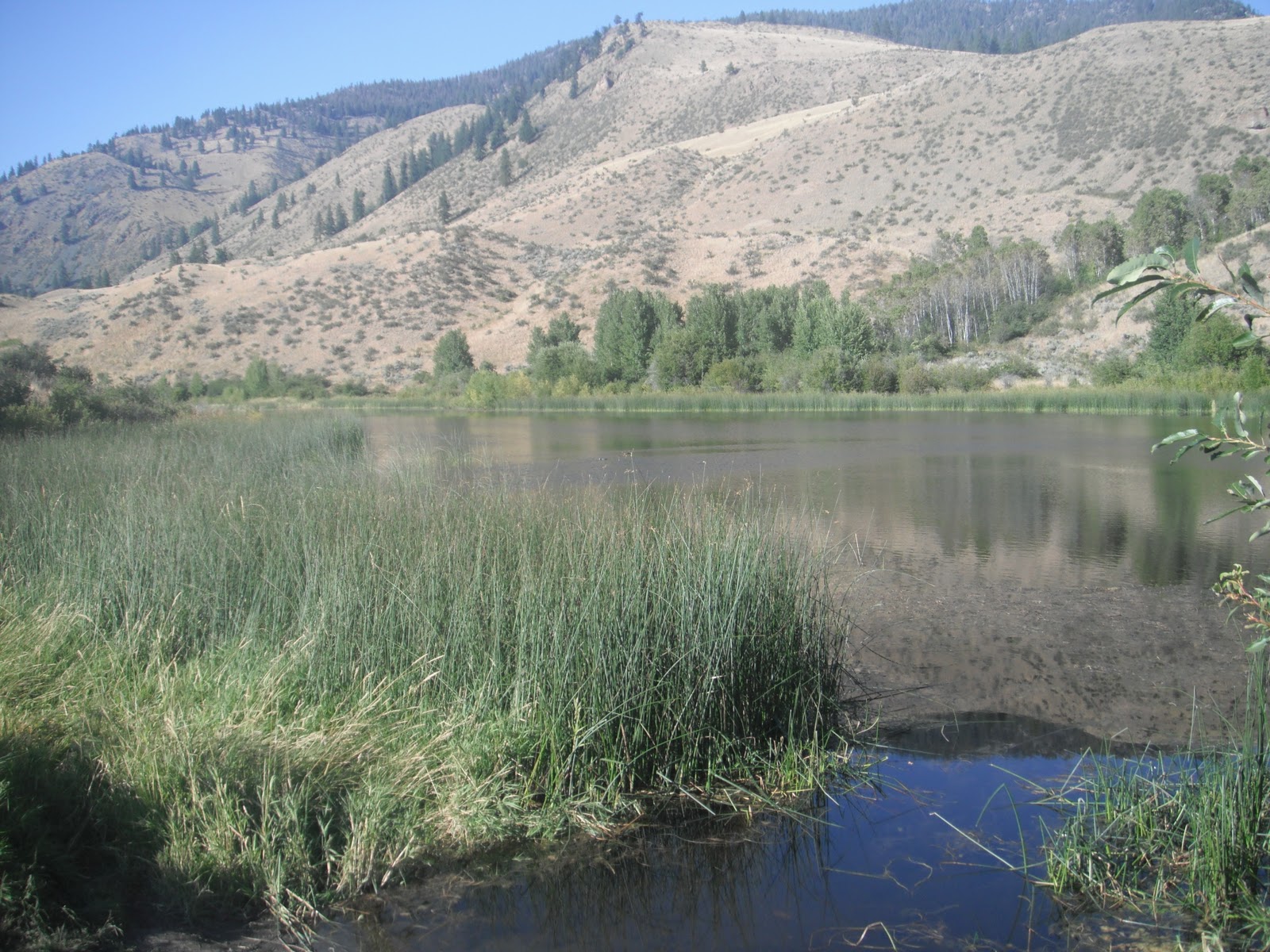 Where I have Fished Campbell Lake, Wa