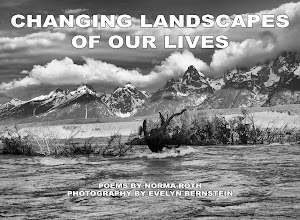 Changing Landscapes of Our Lives