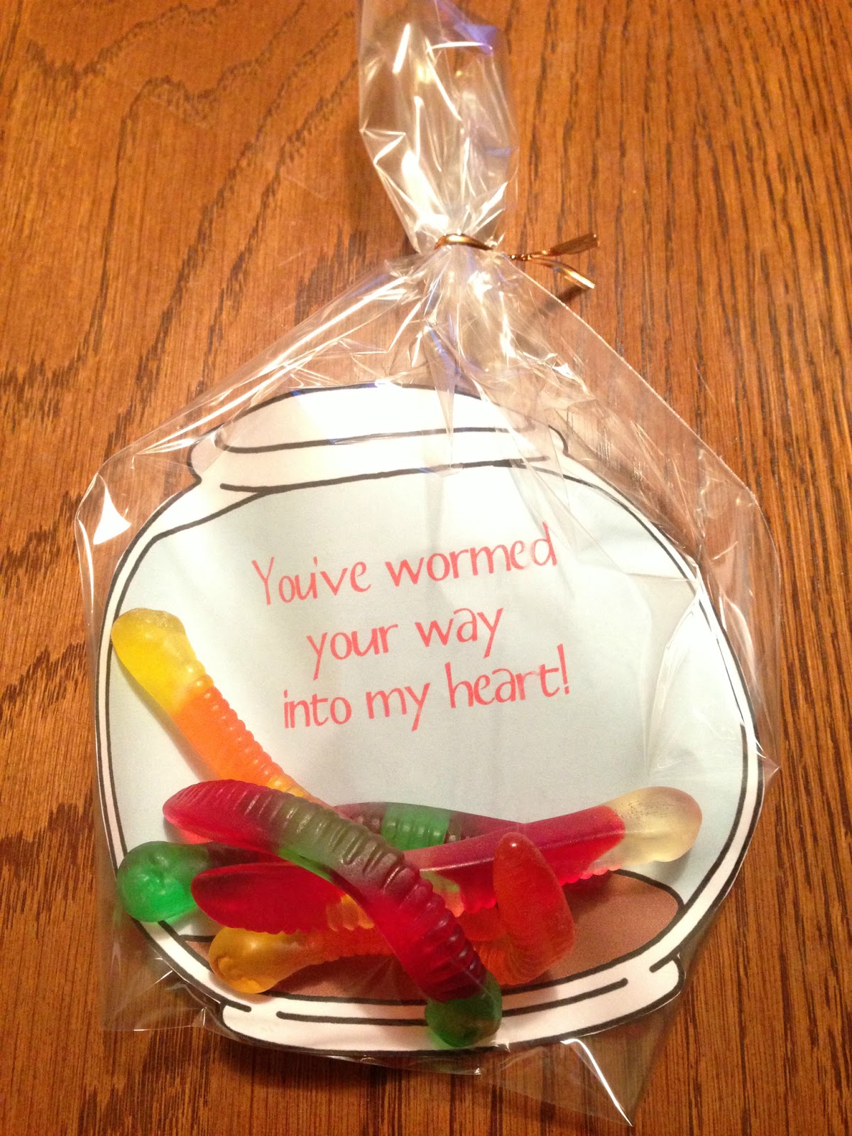 The Orange Coffee Cup Valentine Cards 2013 Fish Worms And