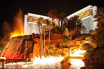 mirage volcano vegas las strip hotel casino nevada customer today night cool challenges service eruption palazzo    