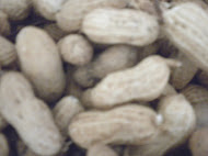 Mexico: Peanuts in Times of Food Crisis