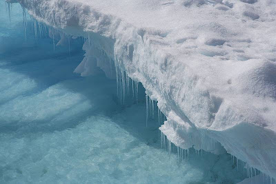 amazing antarctica