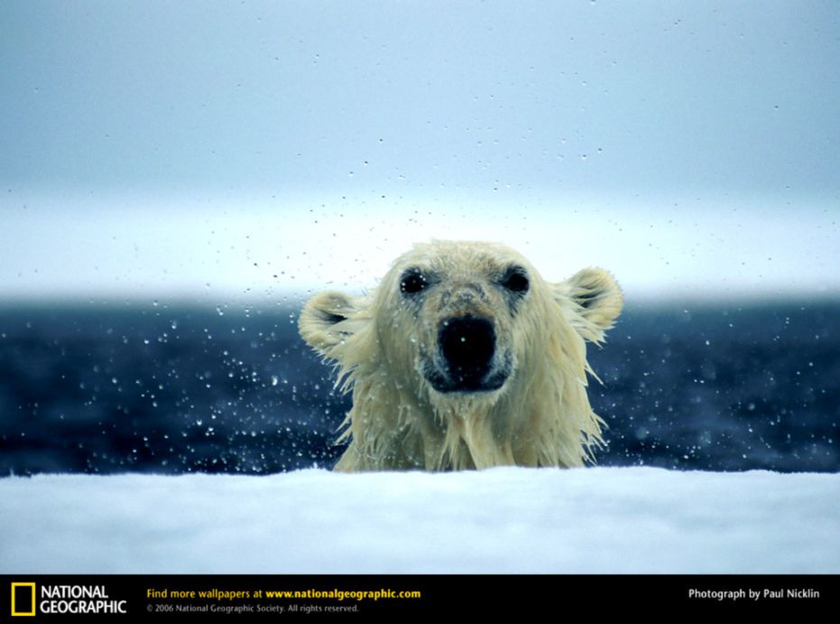 6671024x768 wallpaper cb 6671024x768 wallpaper cb