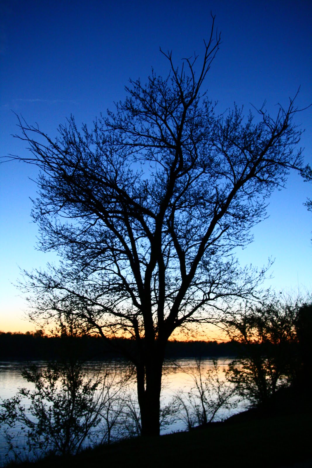 Food Collage Bandana's BarBQ (St. Joseph, MO)