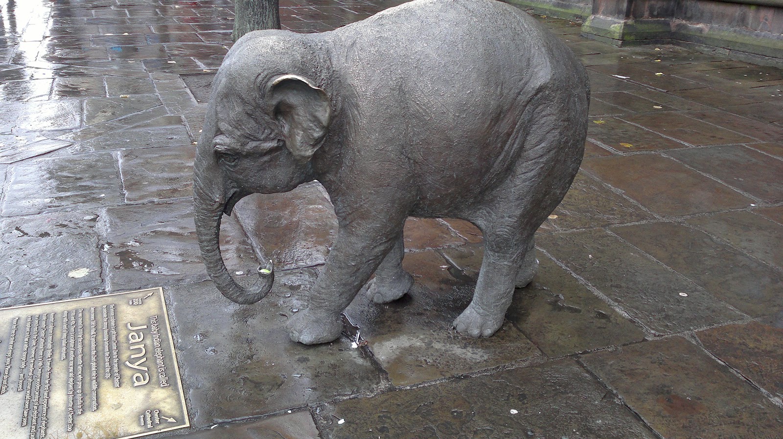 "I don't do fashion. I am fashion." The beautiful streets of Chester.