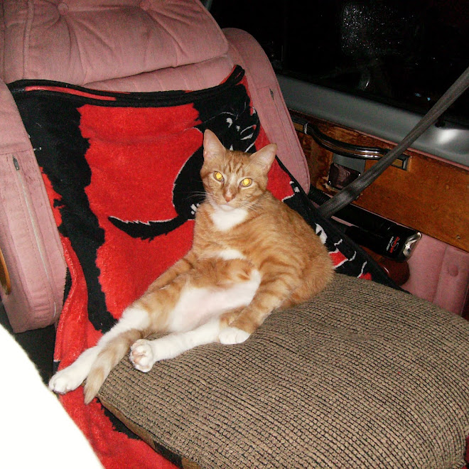 I want you to draw me like one of your French girls