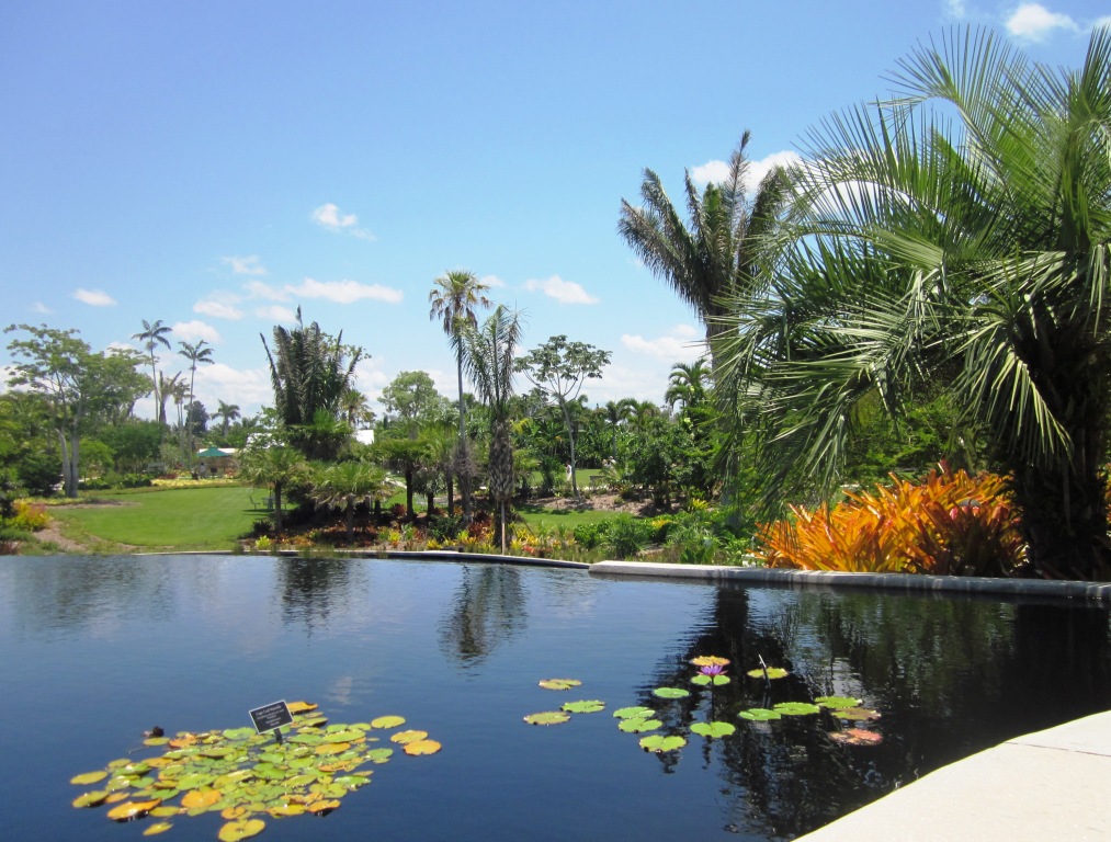 Robert's Tropical Paradise Garden First Visit to Naples Botanical Garden