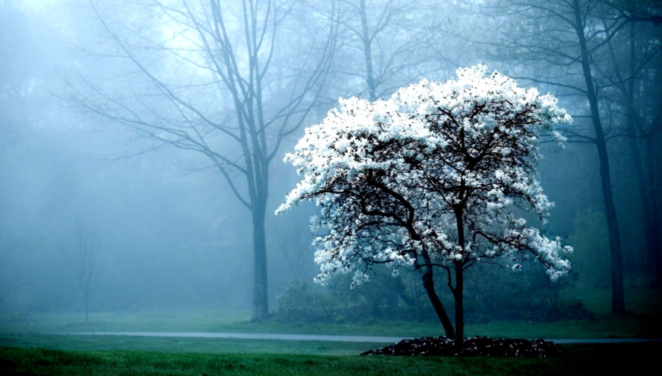 HD Desktop Wallpapers Download Group 86 HD Desktop Wallpapers Download Group 86