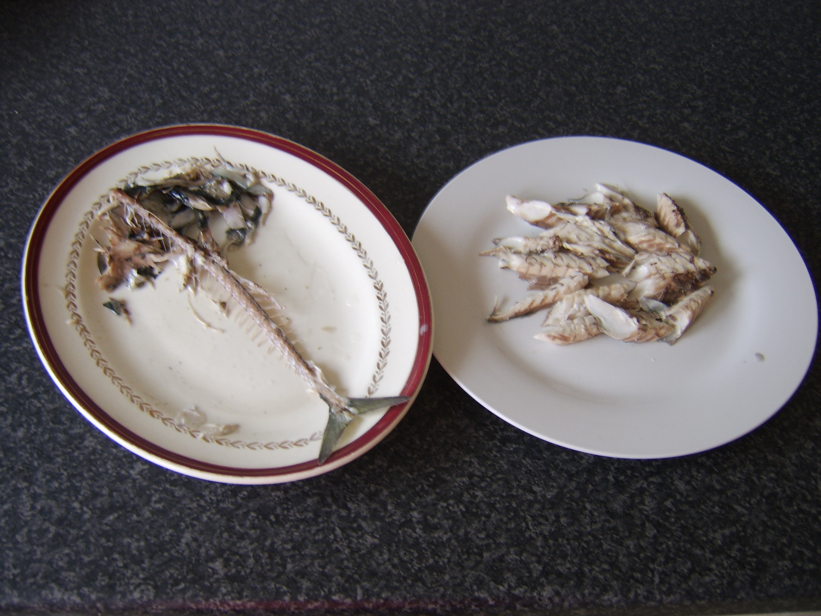 A Guide to Sea Fishing the West of Scotland and Cooking your Catch