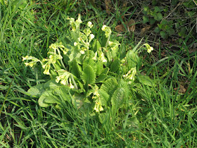 Le Blog De Michele Petales Et Couleurs