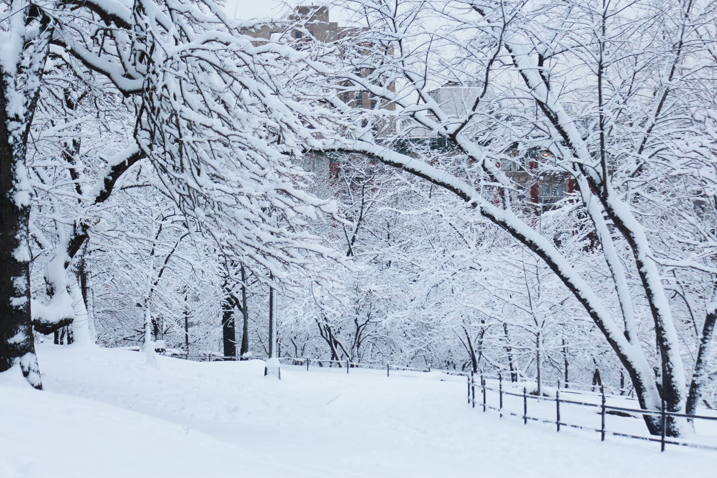 Just walk on by brent staples citation image