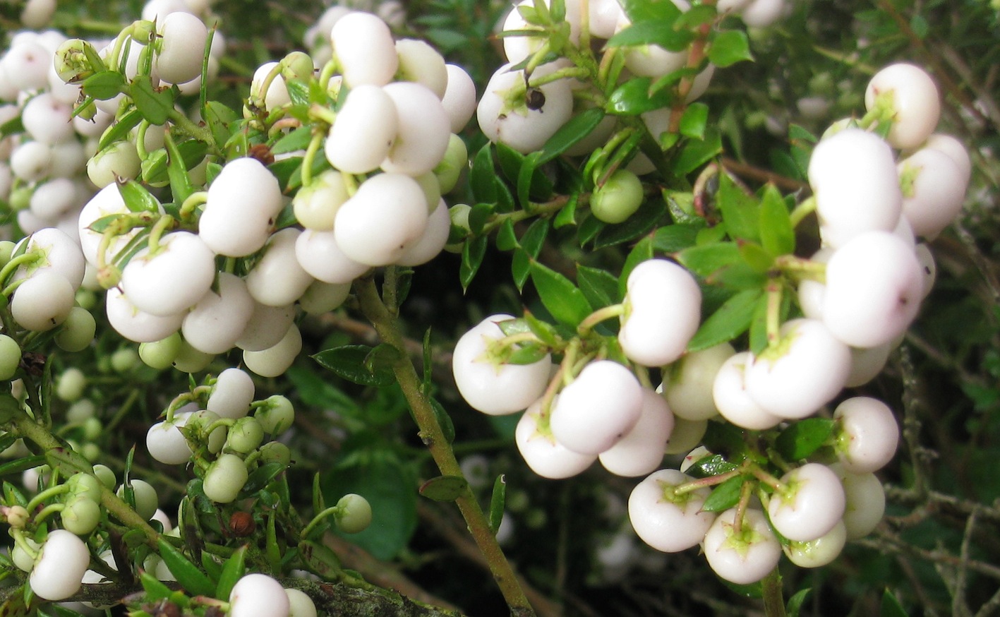 Diy Urban Gardening Hacks For Small Spaces Life And Style The