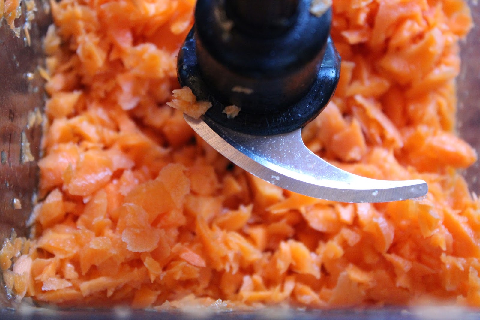 Taking Notes...Coast to Coast DIY All Natural Carrot & Banana Dog Treats