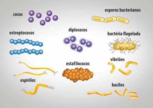Qual a diferença entre interdisciplinar e interdisciplinar? Qual a diferença entre interdisciplinar e interdisciplinar?