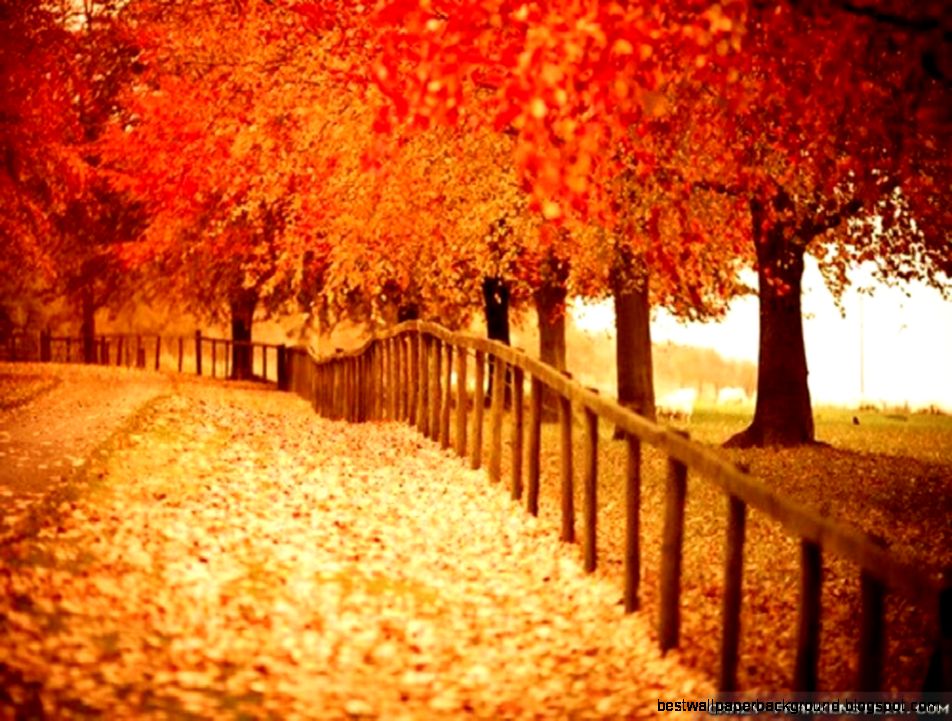 Beautiful Autumn HD Wallpapers HD Wallpapers Inn Beautiful Autumn HD Wallpapers HD Wallpapers Inn