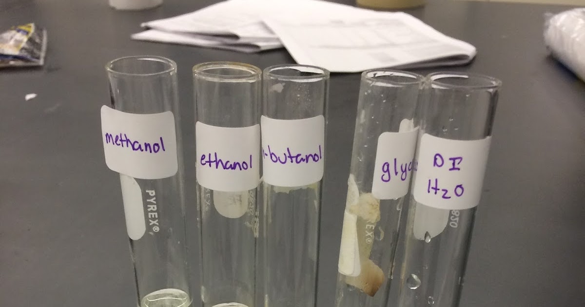 Megan's Chemistry Lab Blog Lab 10 Evaporation and Intermolecular