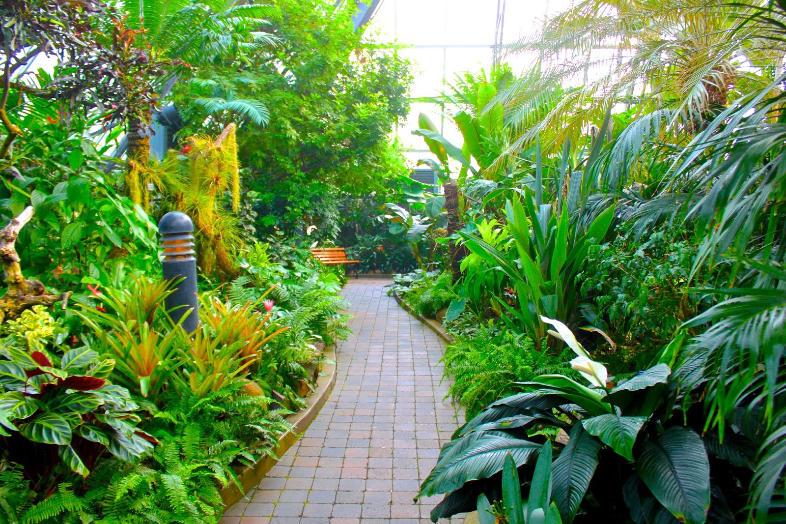 Edmonton's Muttart Conservatory