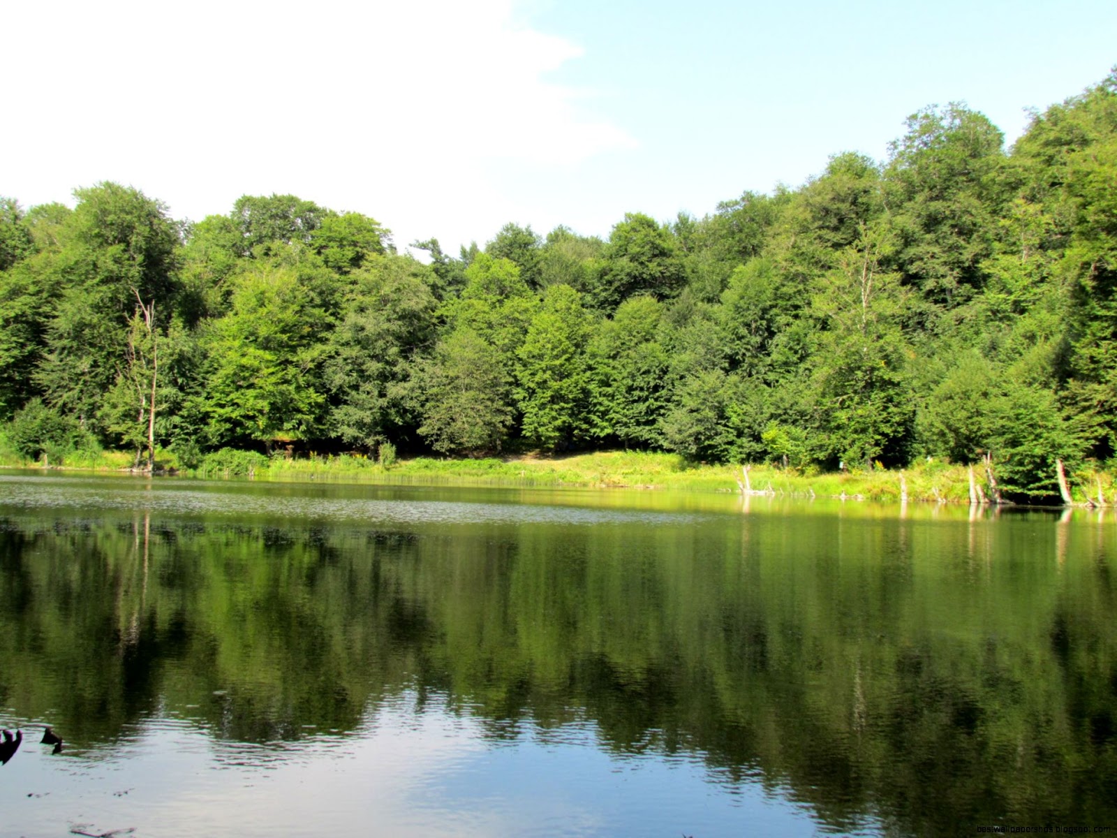 Gosh Lake Summer 2011 Dilijan Armenia Abraham Balabanyans Gosh Lake Summer 2011 Dilijan Armenia Abraham Balabanyans