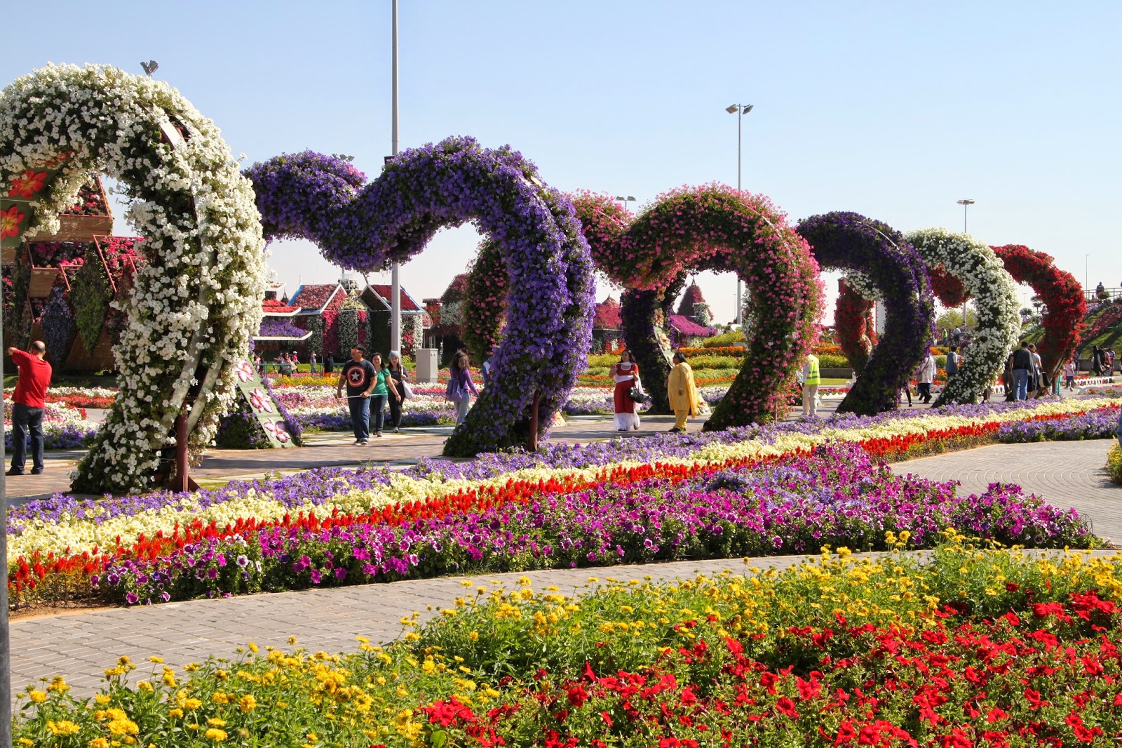 Life in Abu Dhabi Dubai Miracle Garden