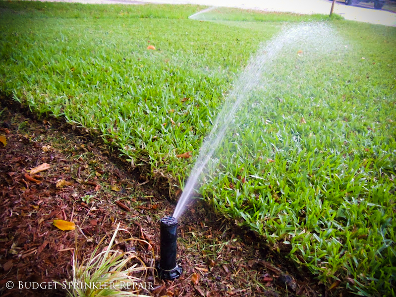 Ingenious Sprinkler Repair for Tampa Bay Residential Lawns -No Service Call  Fees for Sprinkler Repair - ACS Irrigation