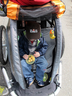 mec bike trailers