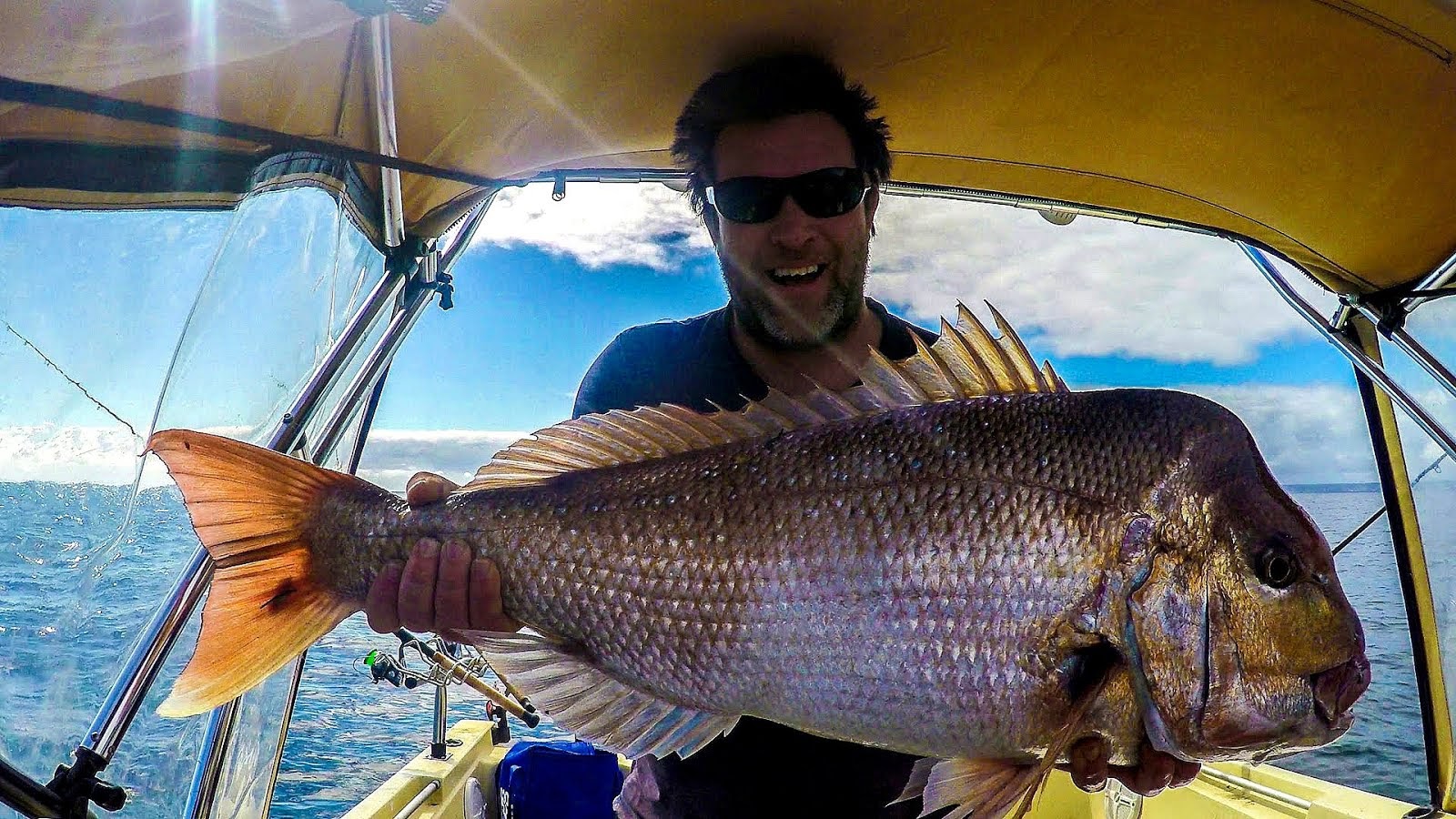 Port Phillip Bay Fishing Fish Choices