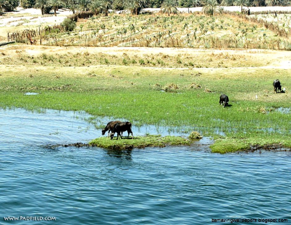 Nile Rive The Wallpaper Desktop Nile Rive The Wallpaper Desktop