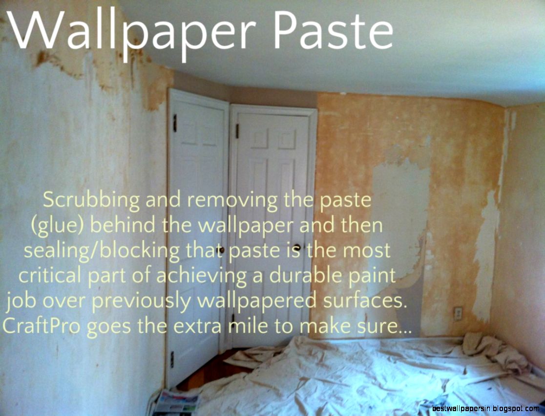 Wallpaper Removal Pro Tips Strip Paste Prep for Painting Wallpaper Removal Pro Tips Strip Paste Prep for Painting