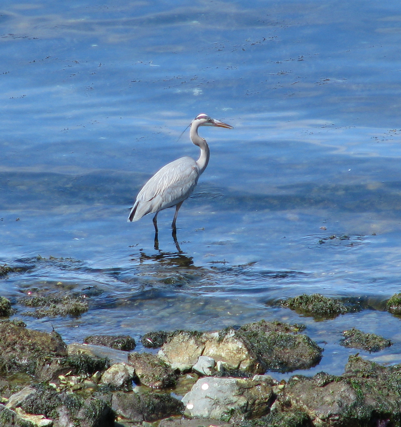 River Estuary