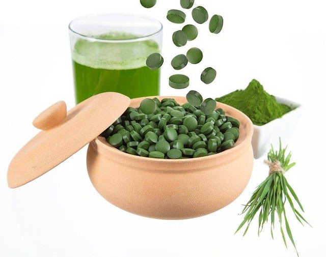 Kandungan Yang Terdapat Dalam Spirulina Blog Dian Herbal