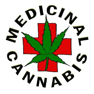 maconha medicinal maconha medicinal