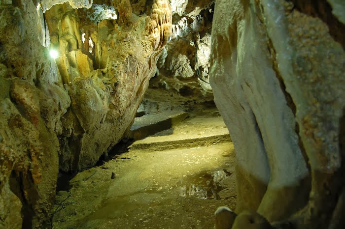 grotta  zinzulusa(Castro).