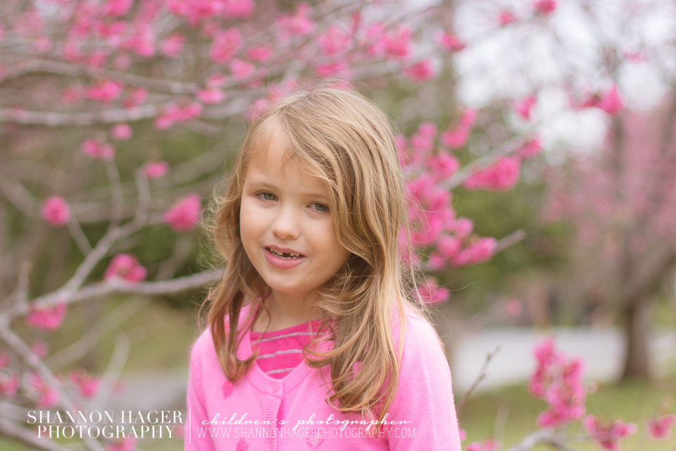Cherry Blossoms in Okinawa by Shannon Hager Photography, Portland Children's Photographer