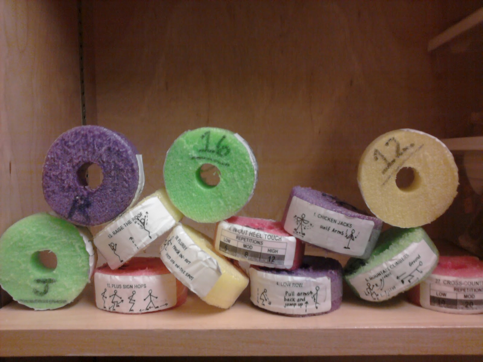 HPE Merritt Health and Physical Education Noodle Discs and Ophea 50