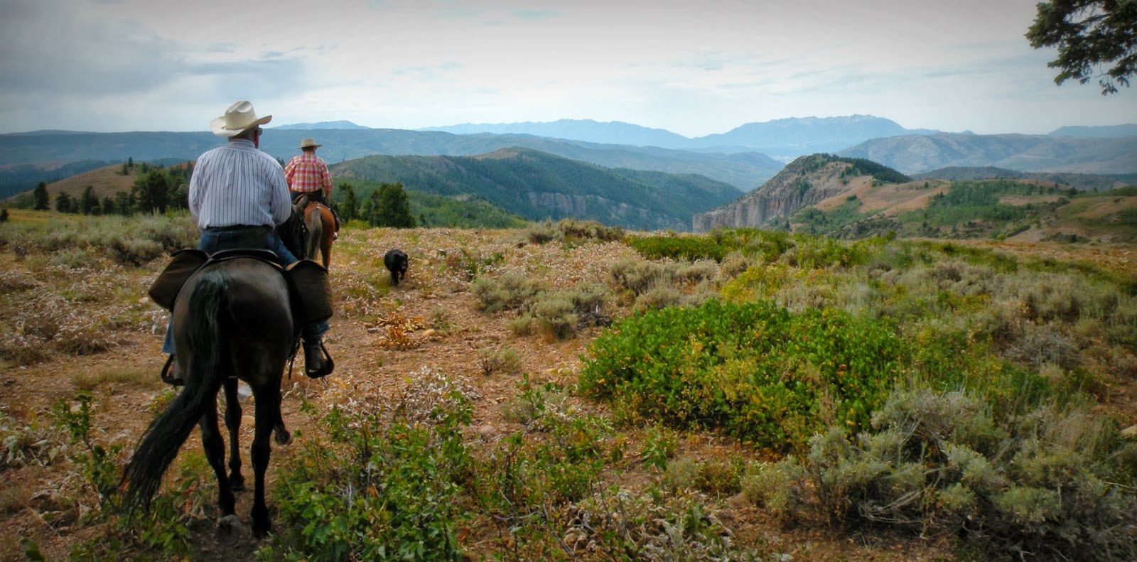 Dream Packer Trail Adventures Monte Cristo, Utah, Lightning Ridge