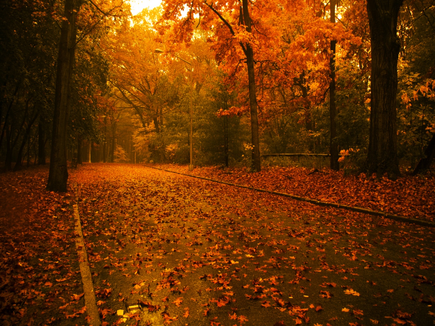 Espiritu Chaman: Celebrando el Otoño 2013