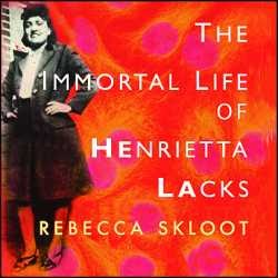 the immortal life of henrietta lax the immortal life of henrietta lax