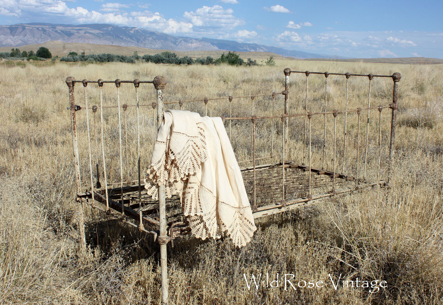 Wild Rose Vintage Some of my favorite posts from 2011