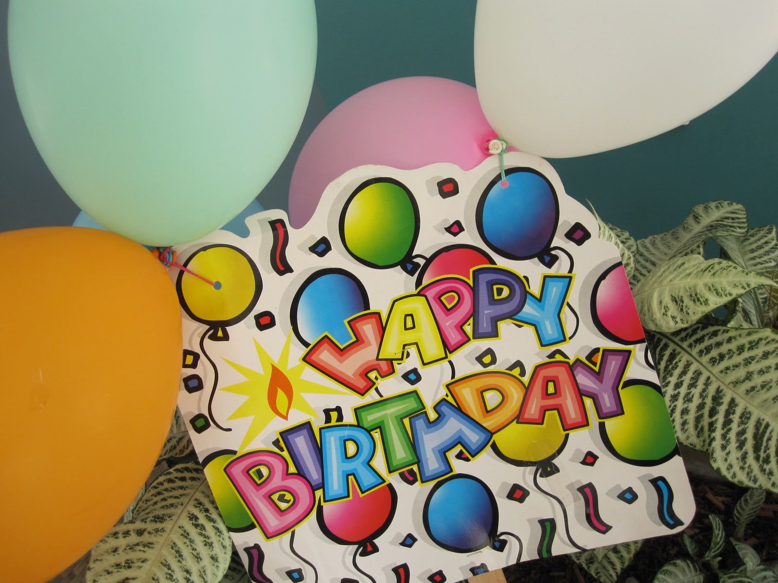 Seed Stones Rock Painting Birthday Party