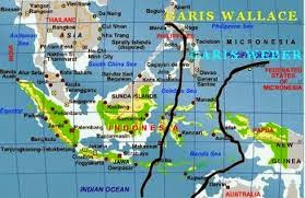 Persebaran Keanekaragaman Hayati Indonesia Materi Sma Online