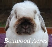Boxwood Acres
