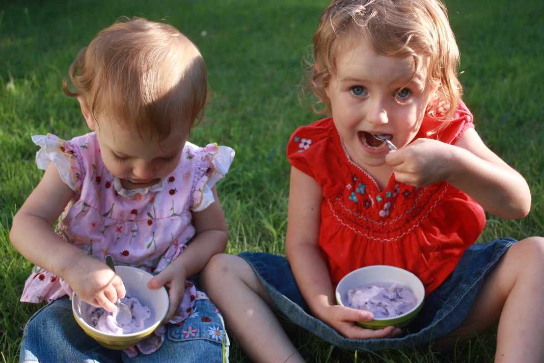 Juise Blackberry Coconut Milk Ice Cream in a Bag!