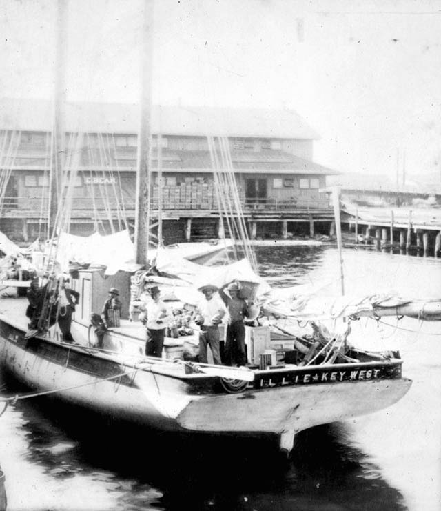 Shellbelle's Tiki Hut Pineapples in Florida History? What?