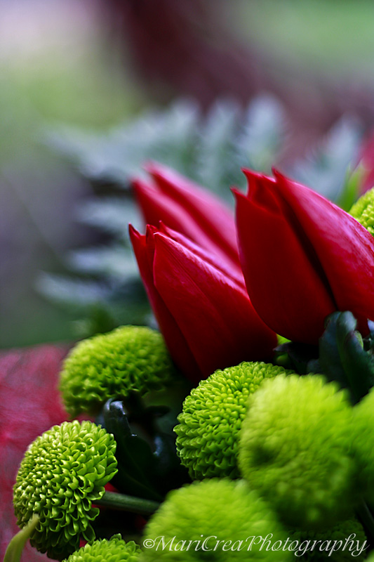Creamaricrea Fiori Per La Laurea