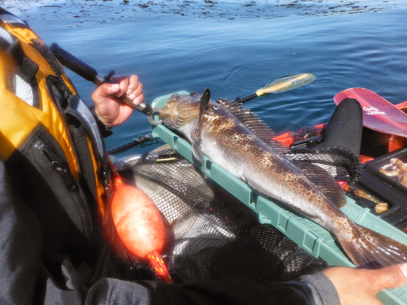  Jackson Kayak Kayak Fishing the Central Coast